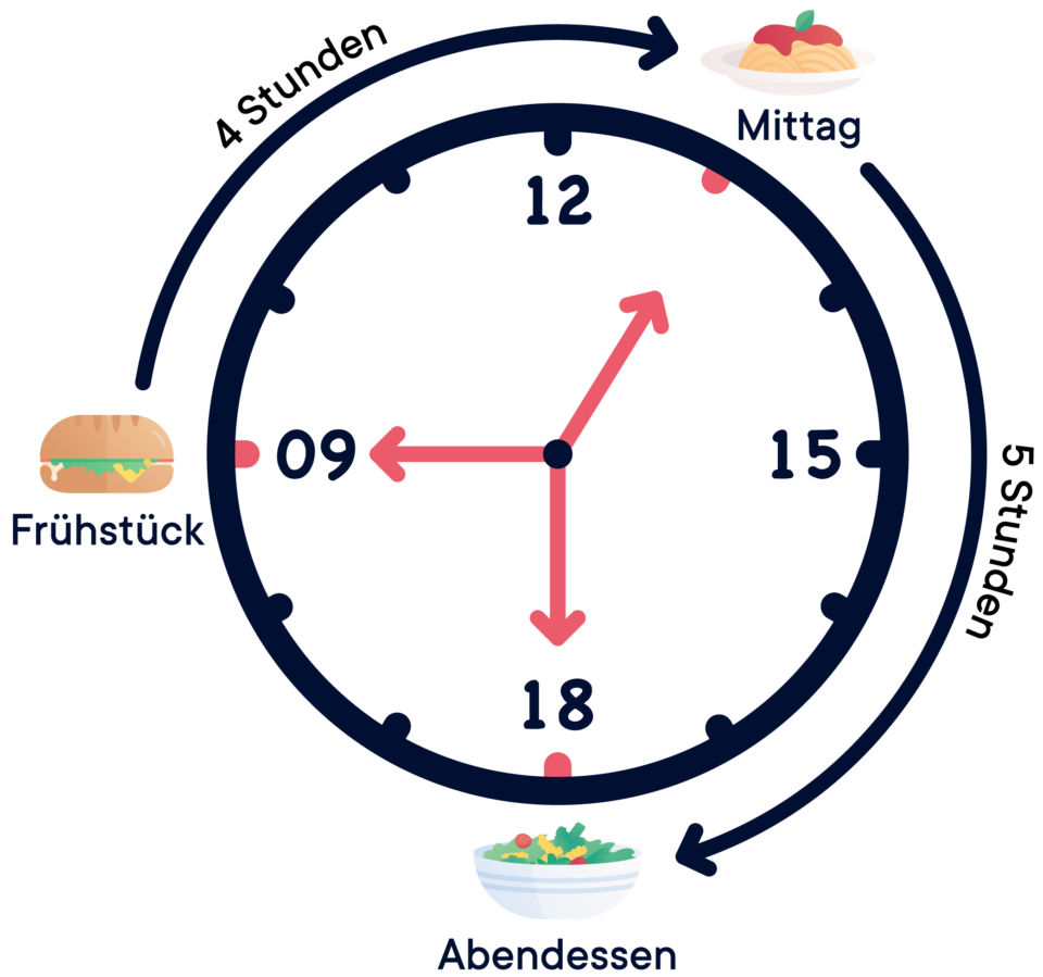 Grafik einer Uhr mit Essenszeiten- und Pausen